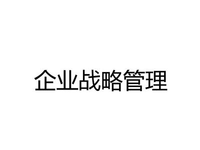 企业战略管理 从规划到执行的全面指南